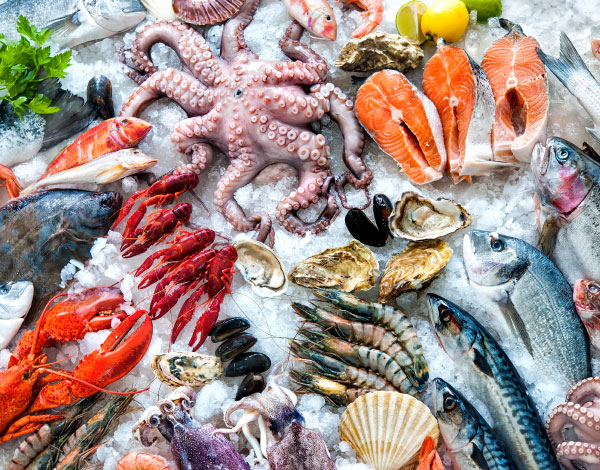 Seafood Refrigerated Delivery Service | Quick and Cool