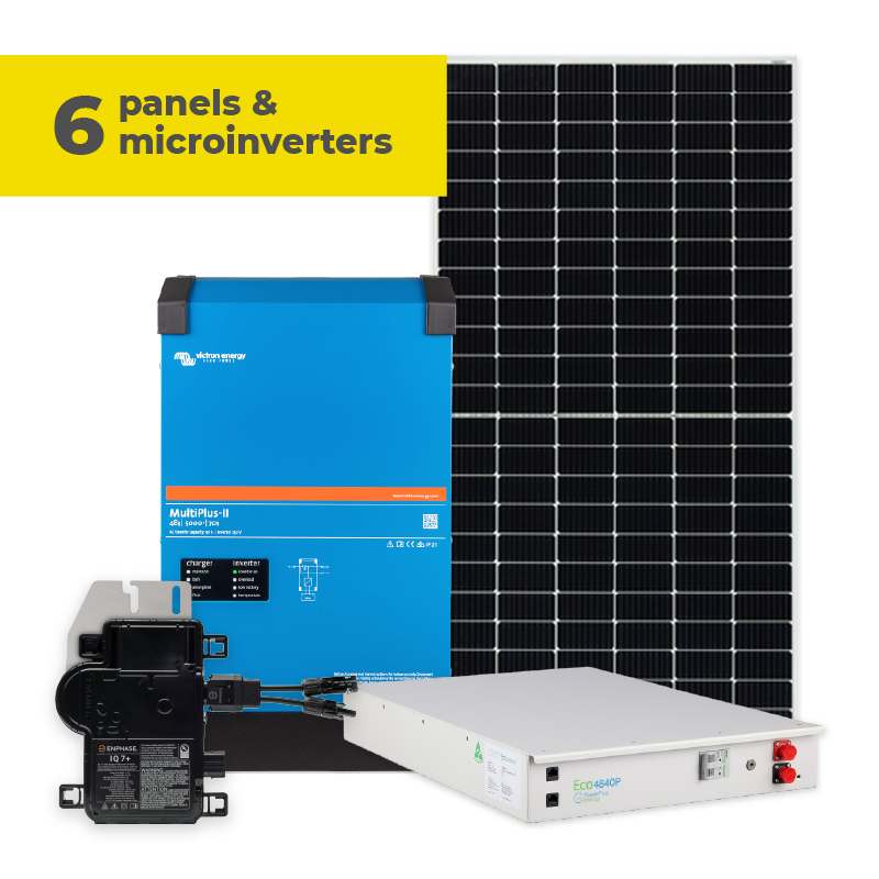 6 Panels & Microinverters